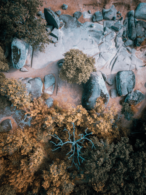 Beglik Tash - Santuario rupestre tracio - Primorsko.png