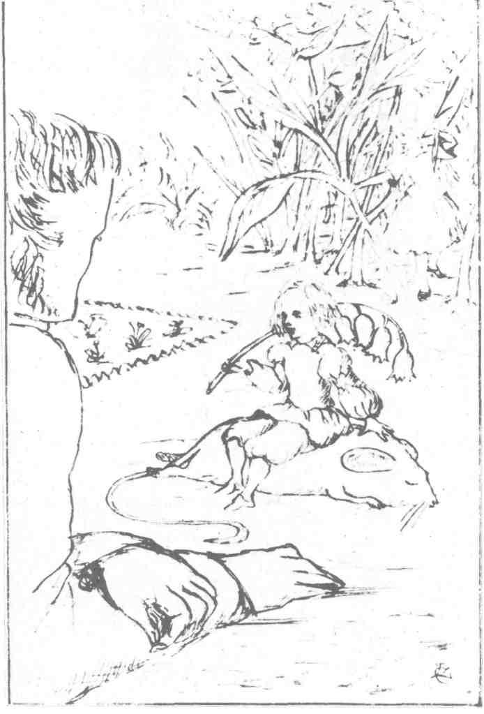 Це зображення має порожній атрибут alt; це ім'я файлу sb2.jpg